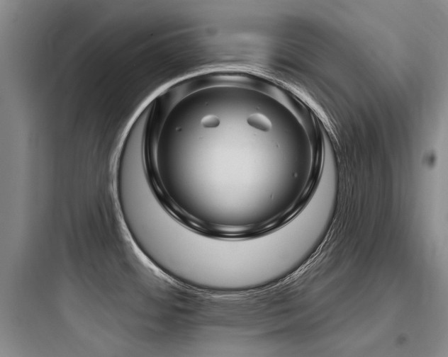 X0000097971484200803241223