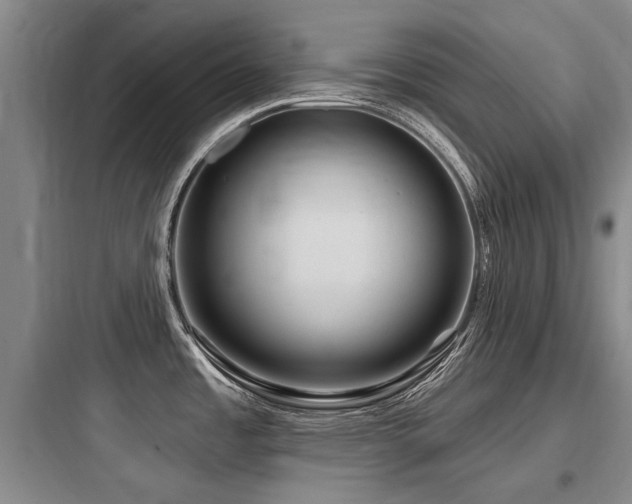 X0000097971485200803241223