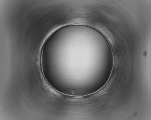 X0000097971486200803241223