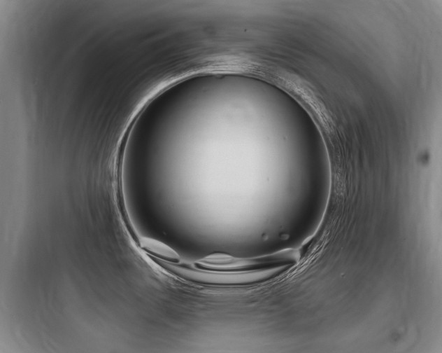 X0000097971487200803241223