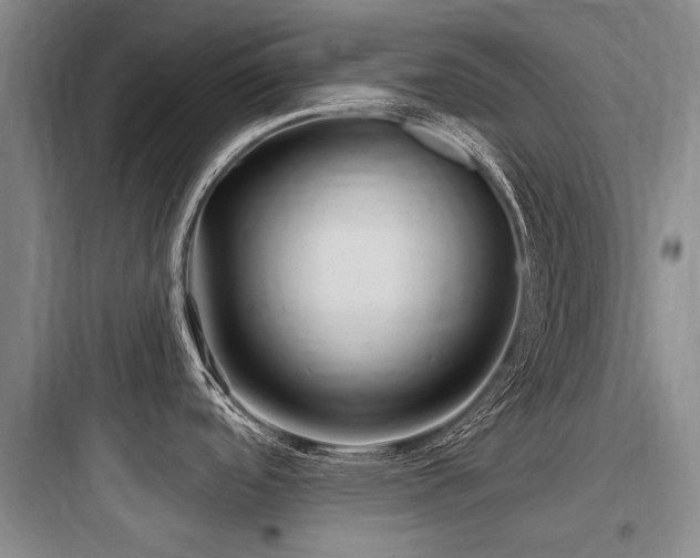 X0000097971488200803241223