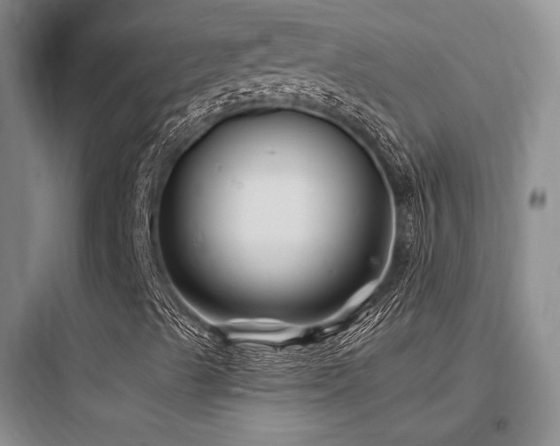 X0000097971489200803241222