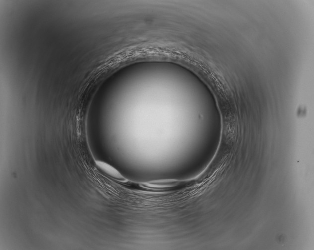 X0000097971490200803241222