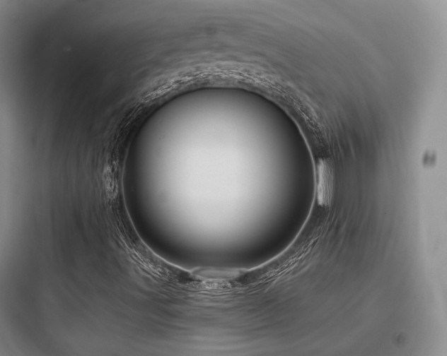 X0000097971491200803241222