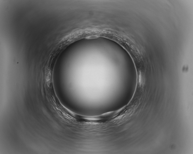 X0000097971492200803241222