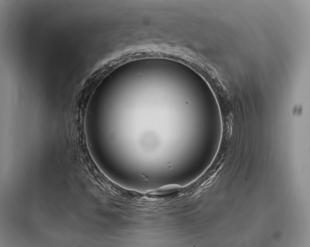 X0000097971494200803241222