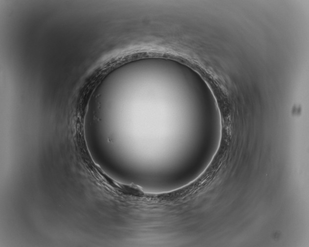 X0000097971495200803241222