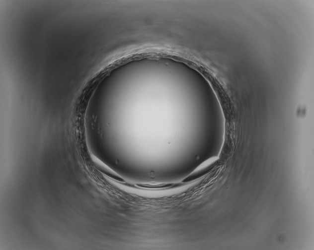 X0000097971496200803241222