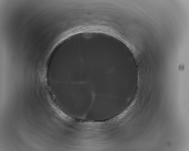 X0000097971498200803241222