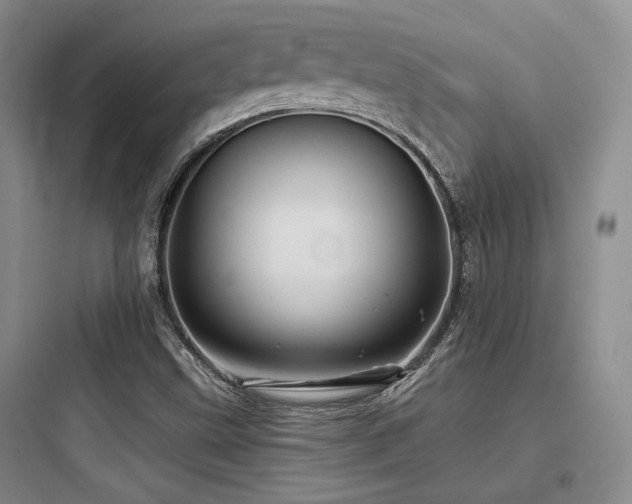 X0000097971499200803241222