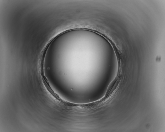 X0000097971500200803241222