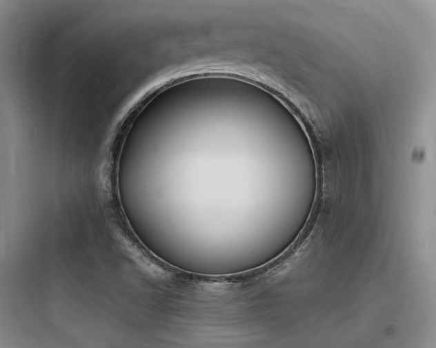 X0000097971502200803241222