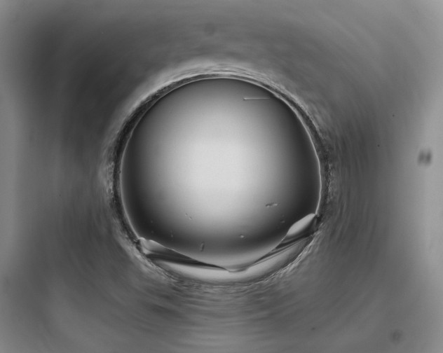 X0000097971503200803241222