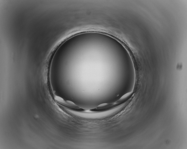 X0000097971504200803241222