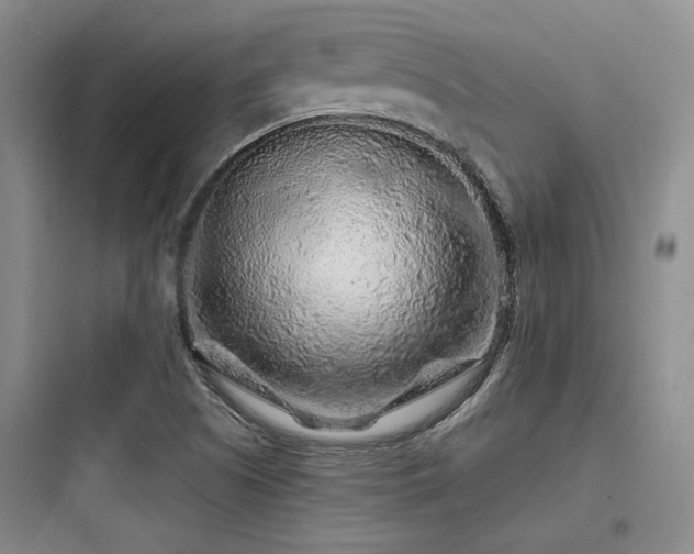 X0000097971505200803241222