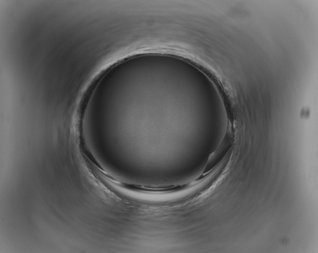 X0000097971506200803241222