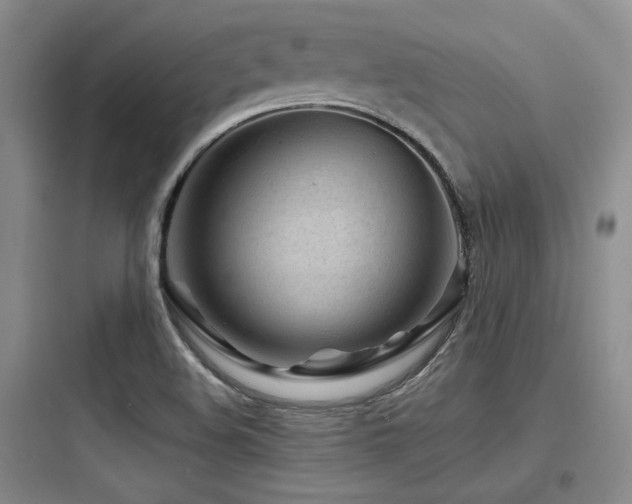 X0000097971508200803241222