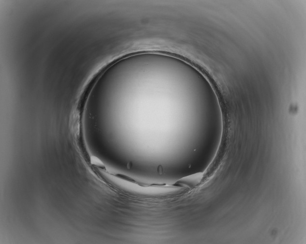 X0000097971509200803241222
