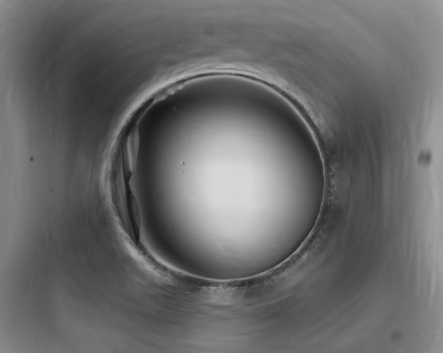 X0000097971511200803241222