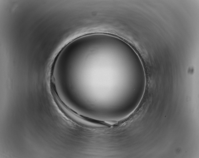X0000097971512200803241222