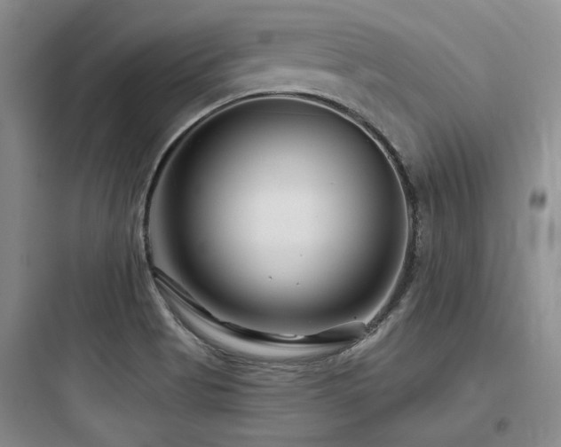 X0000097971513200803241222