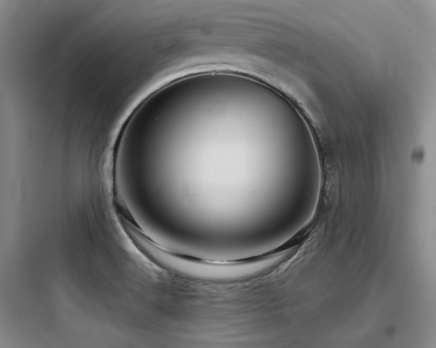 X0000097971516200803241222