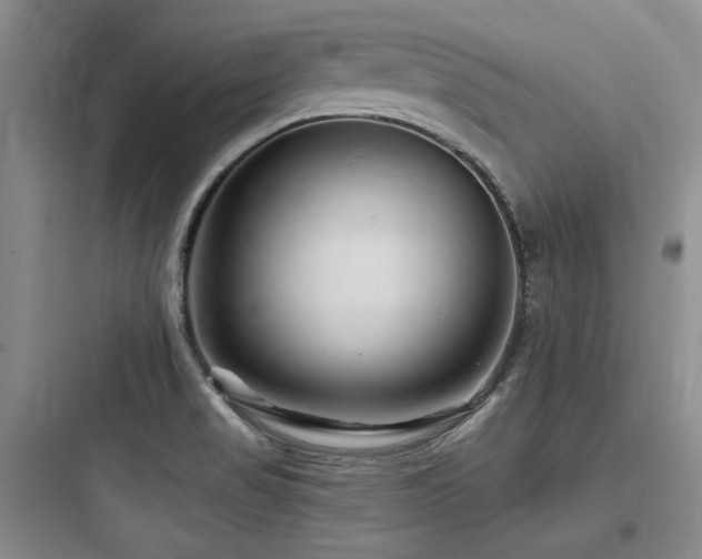X0000097971517200803241222