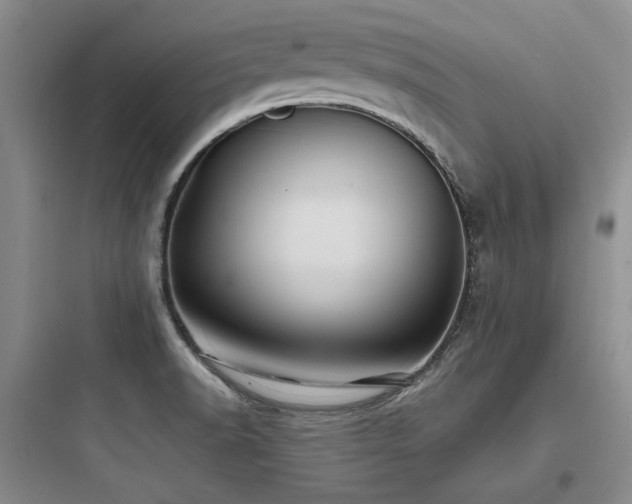 X0000097971518200803241222