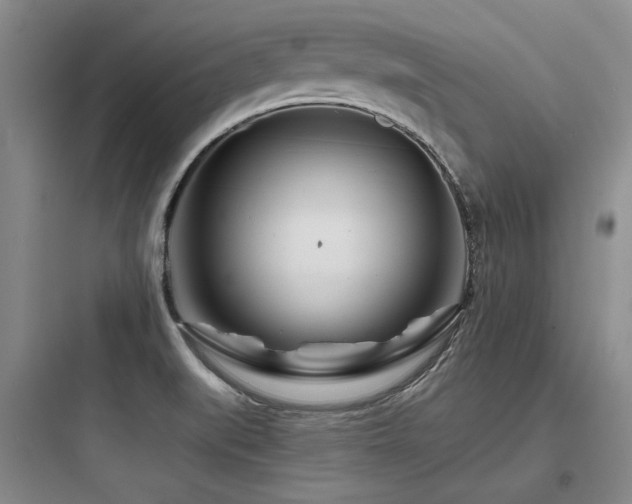 X0000097971519200803241222