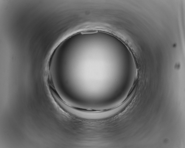 X0000097971520200803241222