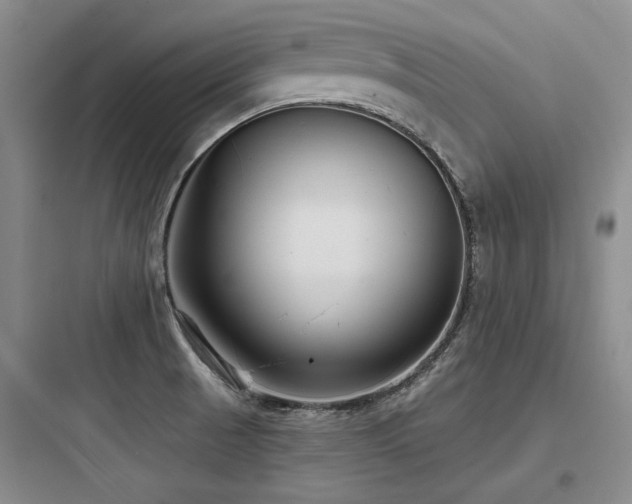 X0000097971521200803241222