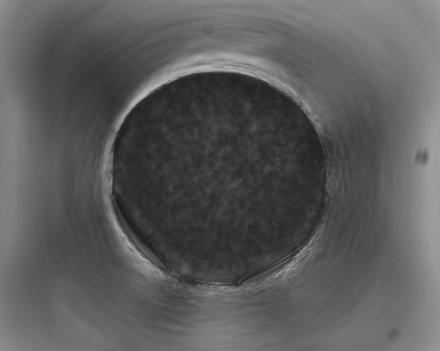 X0000097971522200803241222