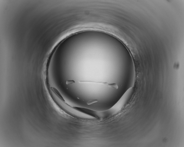 X0000097971523200803241222