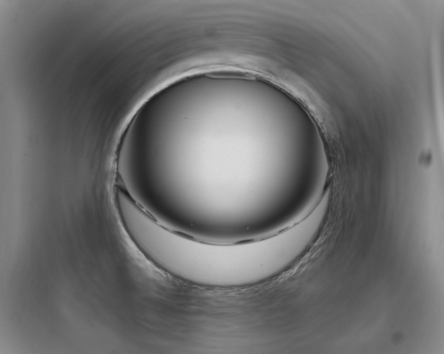 X0000097971524200803241222