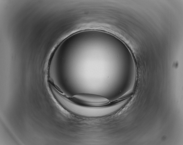 X0000097971525200803241222