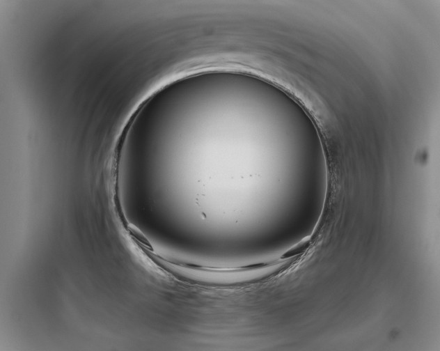 X0000097971526200803241222