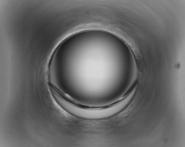 X0000097971527200803241222