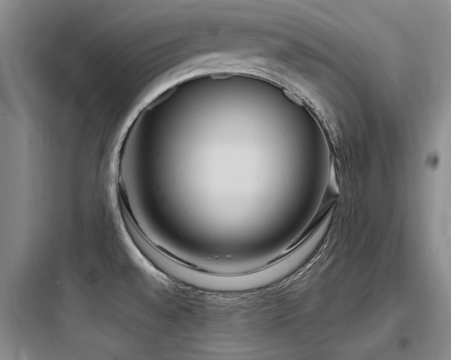 X0000097971528200803241222
