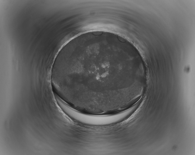 X0000097971529200803241222