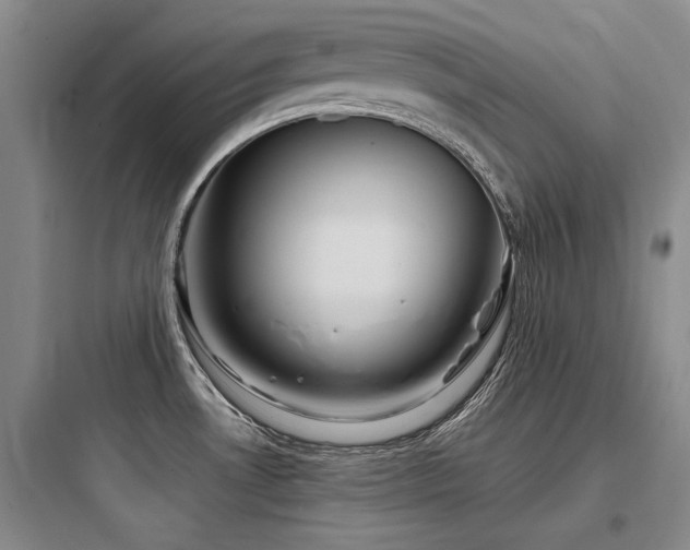 X0000097971530200803241222