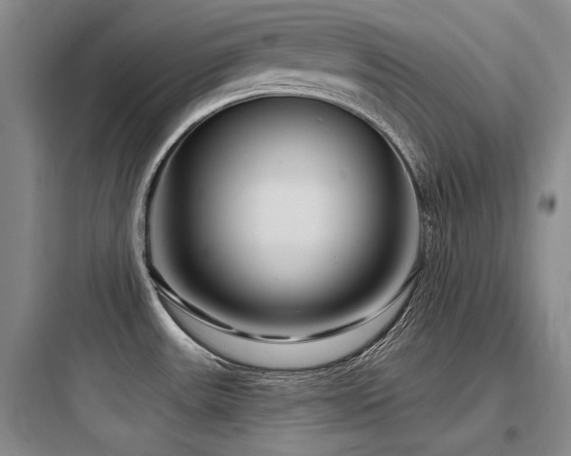 X0000097971531200803241223