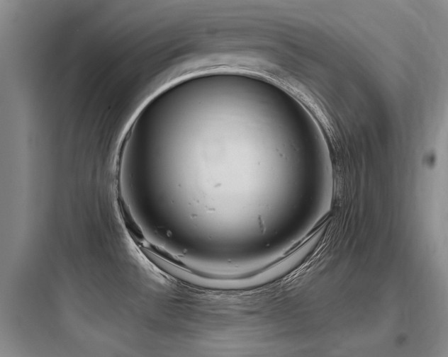 X0000097971532200803241223