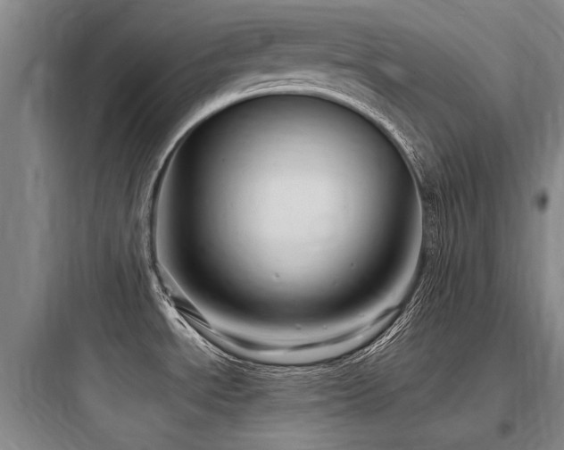 X0000097971534200803241223