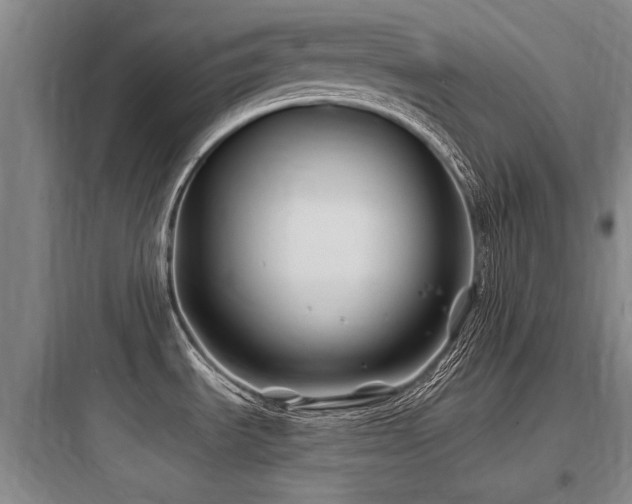X0000097971535200803241223