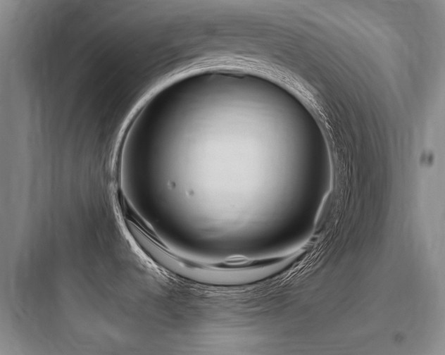 X0000097971536200803241223