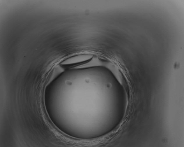 X0000097970001200804011732