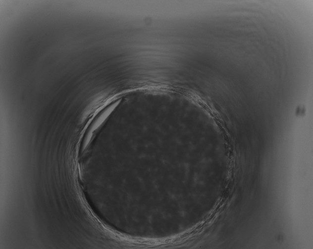 X0000097970002200804011732