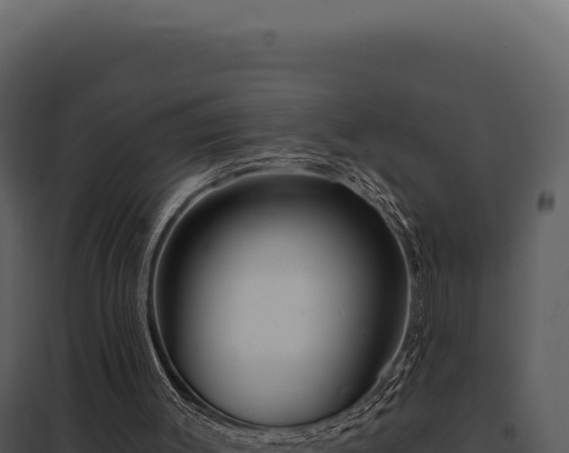 X0000097970003200804011732