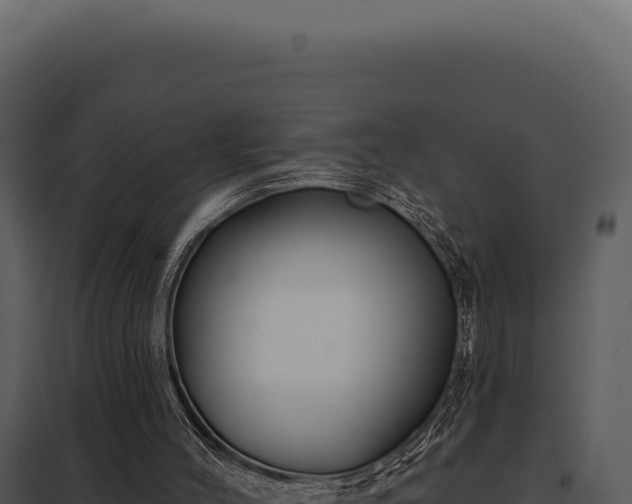 X0000097970004200804011732