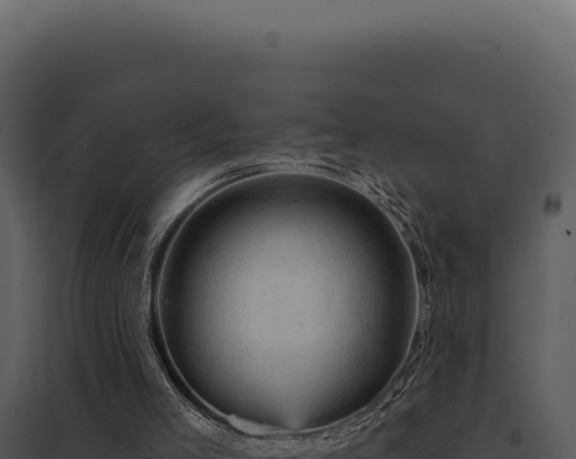 X0000097970005200804011732